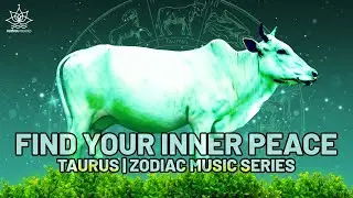 Grounding & Balance | Taurus Calming Vibes: Zodiac Music Series | 1 Hour