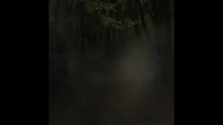 HAUNTED SATANIC RITUAL FOREST/PARANORMAL INVESTIGATION