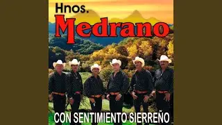 Al Verme Solito