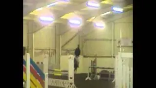Harthill Stud- Honour Cruise, Stallion