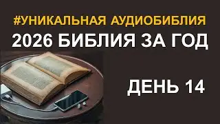 День 14. Библия за год. Библейский ультрамарафон портала &laquo;Иисус&raquo; 2026