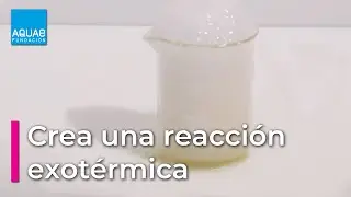 Crea una REACCIÓN EXOTÉRMICA | Experimentos