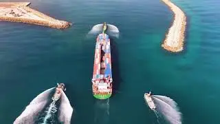 مباشرة الخط الملاحي OVP SHIPPING LINES رحلاته إلى حوض البحر الأبيض المتوسط عبر ميناء المنطقة الحرة