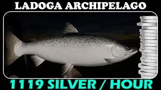 LADOGA ARCHIPELAGO - 1119 Silver in Hour - Silver Farm - Russian Fishing 4 - RF4