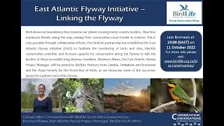 Conservation Conversations: BirdLife's East Atlantic Flyway Initiative (10Oct22)