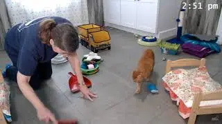 KitKat Playroom - Tater Visits with Gramma!