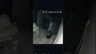 Man Hears Dog Speak Runs Away