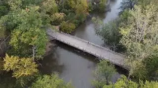 Forest Flying