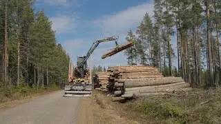 Case M&aring;ngs &Aring;keri: One Timber ensures accurate timber weighing