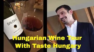 Hungarian Wine Tour Taste Hungary
