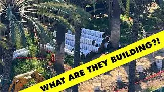 I KNOW what's NEXT! | Disneyland Construction 2026-02-06