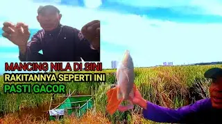Rakitan pancing Nila terbaik di setiap spot pemancingan Nila.