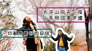 太平山兩天一夜~走訪穿越據信可追溯到末次冰河時期的古老山毛櫸林步道