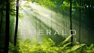EMERALD | Flower of life | Ambient Soundscapes | Piano Music | Blossom of Spring