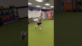 Alternating Reverse Lunges