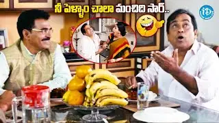 Brahmanandam, Surekha Vani & Sayaji Shinde All Time Best Comedy | ⁨@idreamvizag⁩