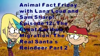 Animal Fact Friday with Lana Loud and Sam Sharp! Episode 12 The Great Caribou Migration Part 2