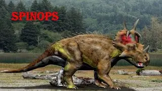 spinops