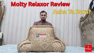 Master MoltyFoam Relaxer Unboxing & Review | Best Back Support Pillow?