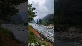 Barot Valley, Himachal Pradesh #ytshorts #himachal #travelblogger #travelvlog #barotvalley