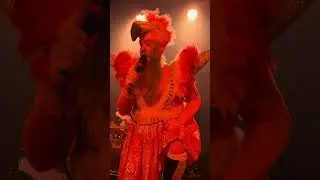 TrollfesT - All Drinks On Me (live at the Overflow Brewery in Ottawa, ON on March 2nd, 2025)