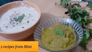 #mintrecipes#quickrecipes|make 2 awesome and tasty mint recipes.