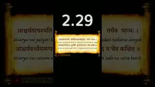 👆 BG 2.29 | Bhagavad Gita 2.29 | Chapter 2.29 | Shloka 2.29 | Text 2.29 | Verse 2.29 #shorts