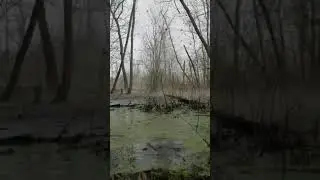 Beaver Dam explosion