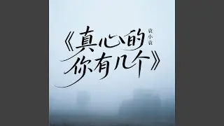 真心的你有几个