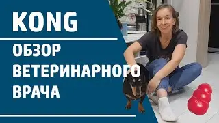Обзор игрушки Kong Classic от ветеринарного специалиста