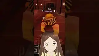 Scamming In Doors