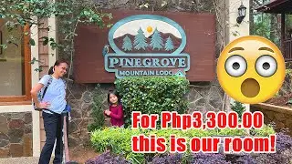 Our Room in Pinegrove Mountain Lodge January 2023 Trip