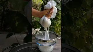 Bina Gaay Ke Doodh | Oat Milk | Vegan Milk at home | Non Slimy Oat Milk