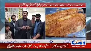 Intensity in Cold Weather, Increase Demand of Fish | City 41