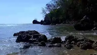 Relaxing Sound of Waves and Melodious Bird Sounds Relaxing Calm, Makes the Soul Relaxed & Prosperous