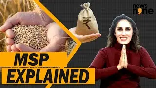 Why is a guaranteed MSP law contentious?