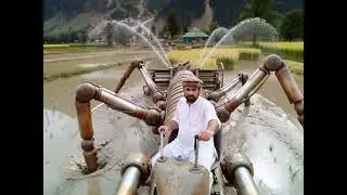 Giant Scorpion Robot Harvests Rice in Australia | Future Farming