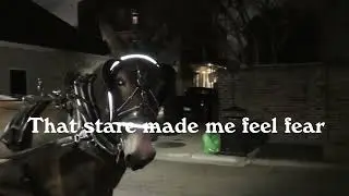 My strange moment while seeking vampires in the New Orleans French Quarter | Soul Searching