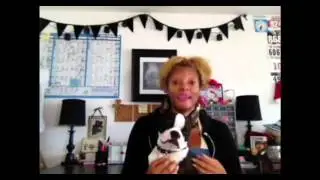 Canada Pet Care Review - Pet Supplies Online - WATCH FIRST! - Discount Pet Supplies
