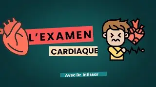 Sémiologie cardiaque : l’examen cardiaque du patient