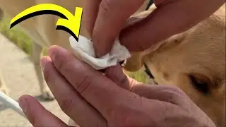 I Tried The 'Forever' Patio Furniture Feet on My Backyard Furniture