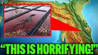 Days After Florida Drained Their Wetlands, Biologists Discovered Something Terrifying!