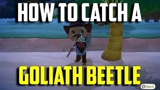 How to Catch a Goliath Beetle | Goliath Beetle ACNH | Animal Crossing New Horizons Goliath Beetle