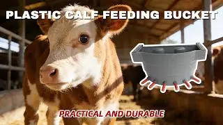 The Calf Feeder That Makes Feeding Effortless！