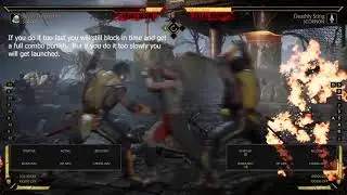 MK 11 - flawless block scorpion's ex teleport guide