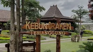 KEBUN CRAKEN RESMI DIBUKA, DESTINASI WISATA KELUARGA BARU DI TEMANGGUNG