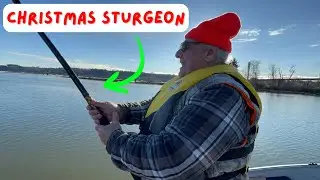 GIANT Sturgeon Caught Christmas Day | Fraser River