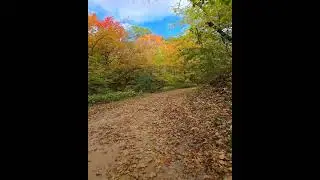 Minnesota Fall Colors 2024 🍁🍂🍁