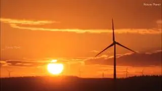 Lovely Evening Wind Mill HD Video | Free download in description | Nature Planet