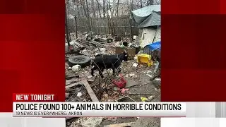 Akron police rescue 100+ animals from hoarding situation